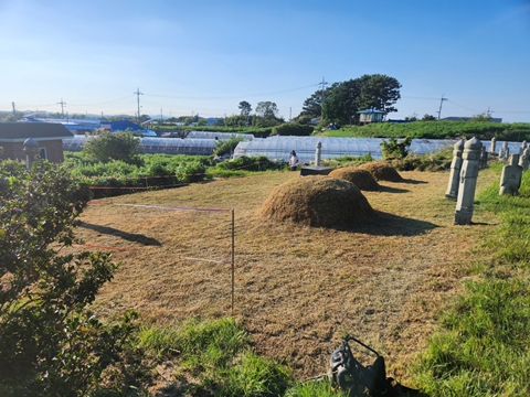 논산놀뫼장의사 PC 이미지 5268737