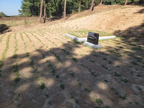 논산놀뫼장의사 PC 이미지 5268740