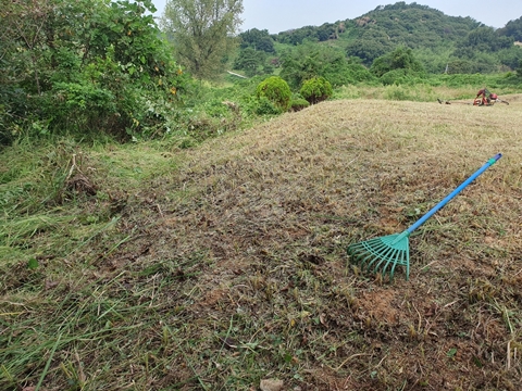 논산놀뫼장의사 PC 이미지 5268741