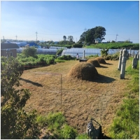 익산묘지이장-5268737