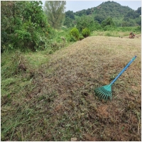 익산묘지이장-5268741