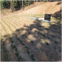 익산묘지이장-5268746