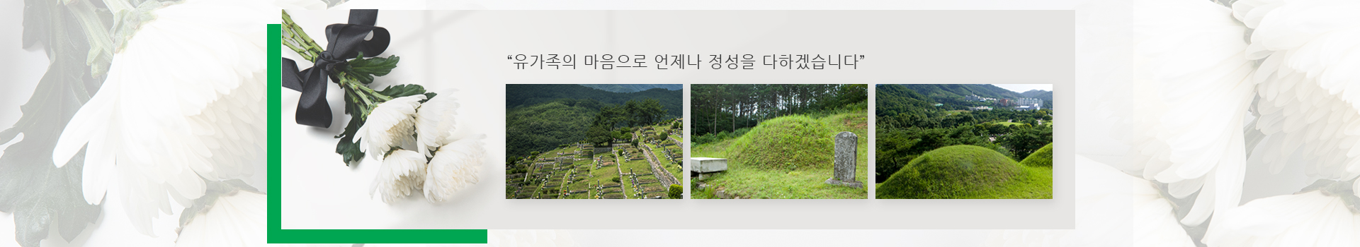 논산놀뫼장의사 PC 비주얼 0